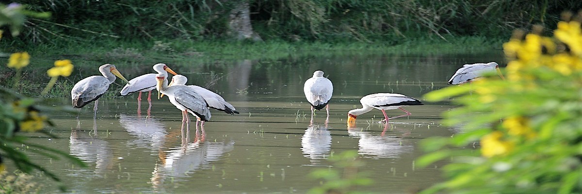Ethiopia paragon tours