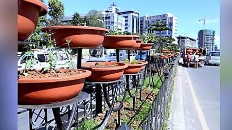 abeba addis