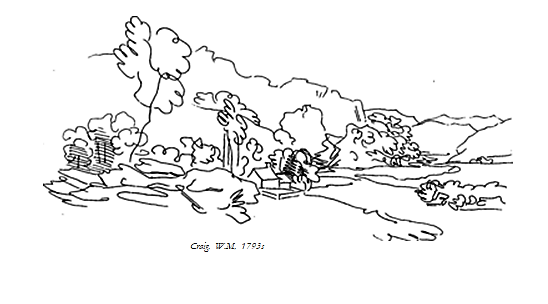 craig landscape