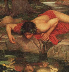 narcissus